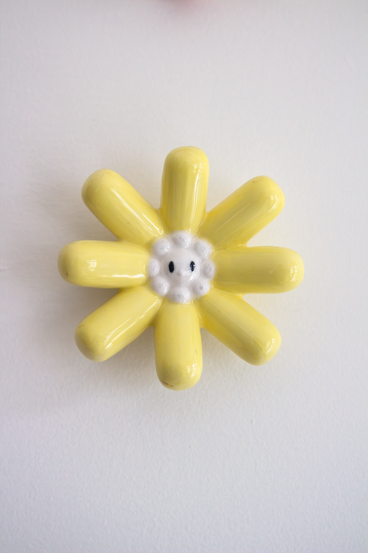 Puff Flower Daisy